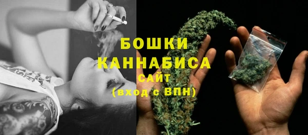 ГАЛЛЮЦИНОГЕННЫЕ ГРИБЫ Балахна