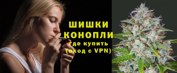 ГАЛЛЮЦИНОГЕННЫЕ ГРИБЫ Балахна